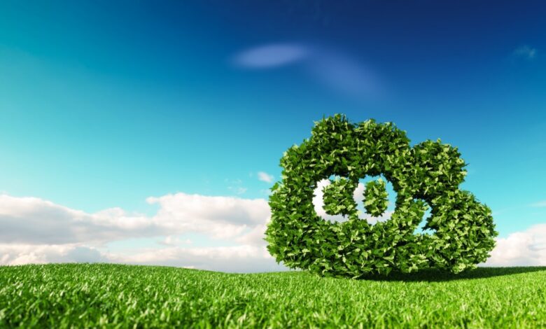 Green shrub with CO2 carved in it on green grass with a blue sky in the background.