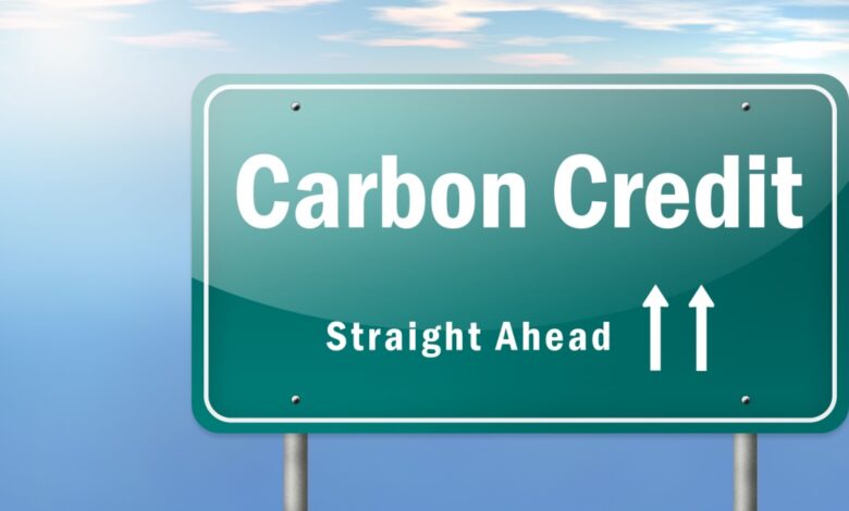 Green carbon credit straight ahead street sign with blue sky and clouds in the background.