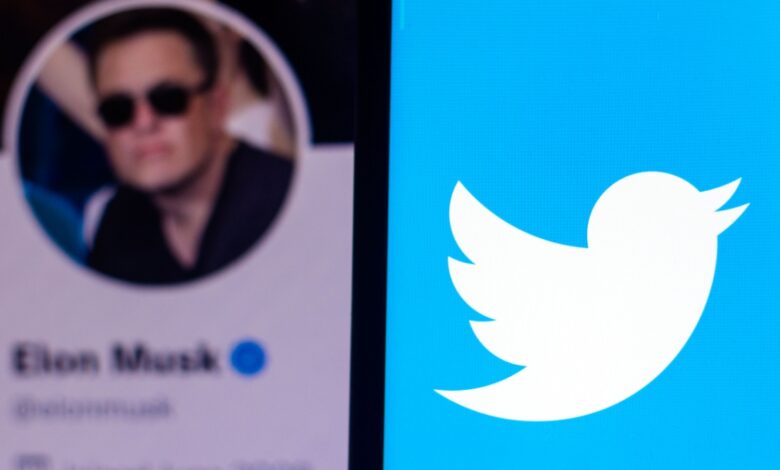 A blurred profile image with the name “Elon Musk” appears beside the Twitter logo, a white bird on a blue background.