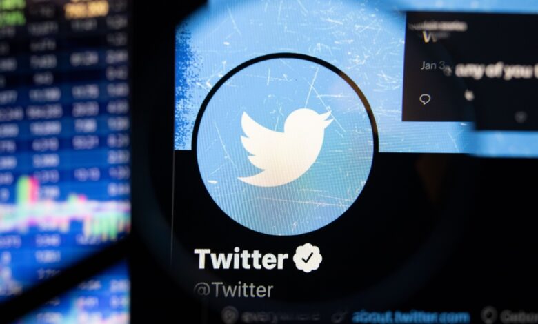 A computer screen displays the Twitter profile with the Twitter logo, a white bird on a blue background, centered under a magnifying glass. Social media and stock market data are visible in the blurred background.