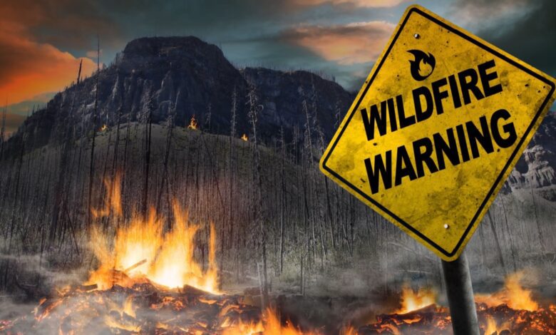 A large yellow "Wildfire Warning" road sign stands in front of a raging forest fire with flames and smoke rising from charred ground, set against a mountainous backdrop under a dramatic sky.