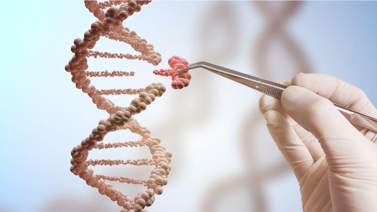 CRISPR Therapeutics (CRSP) Stock Analysis: An Unexpected Rise Amidst a Flat Market