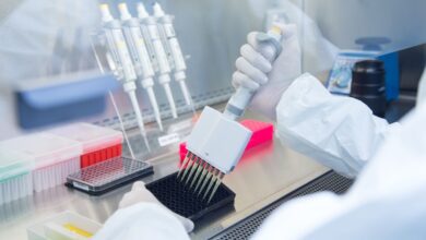 Scientist works with cell cultures in biotech lab.